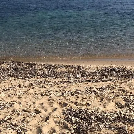 Gæstehus Seacily Santa Flavia